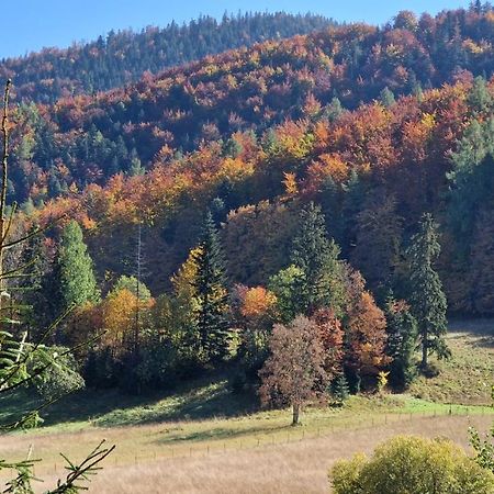 Akra Leilighet Zakopane Eksteriør bilde