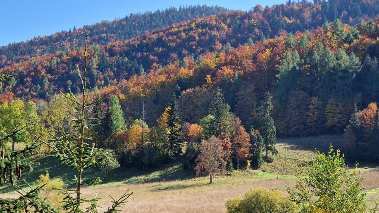 Akra Leilighet Zakopane Eksteriør bilde