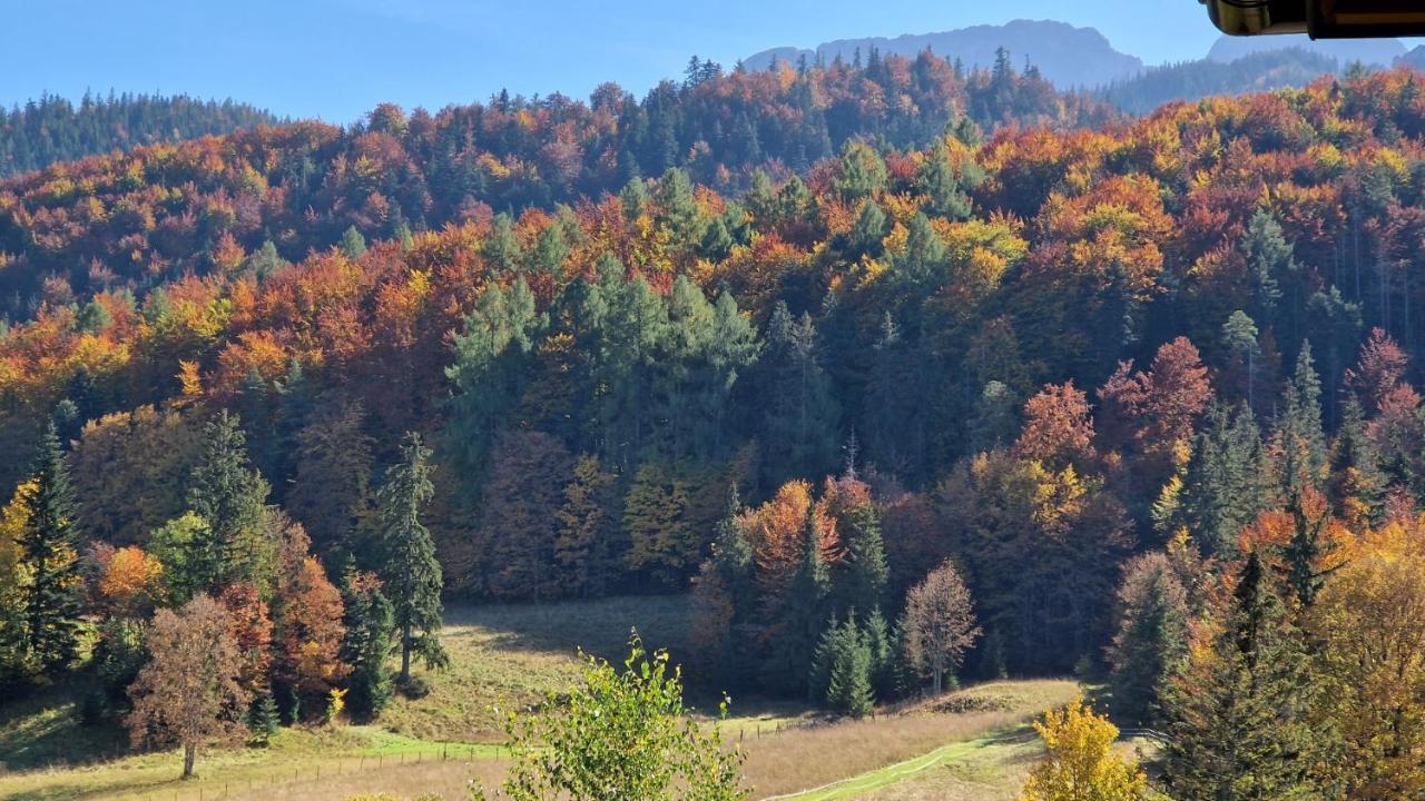 Akra Leilighet Zakopane Eksteriør bilde